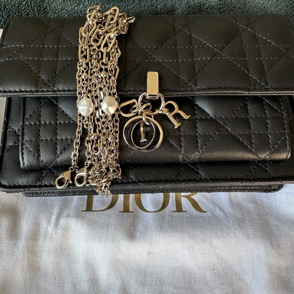 My Dior Daily Pouch with Chain